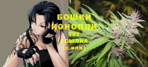 прущая мука Бородино