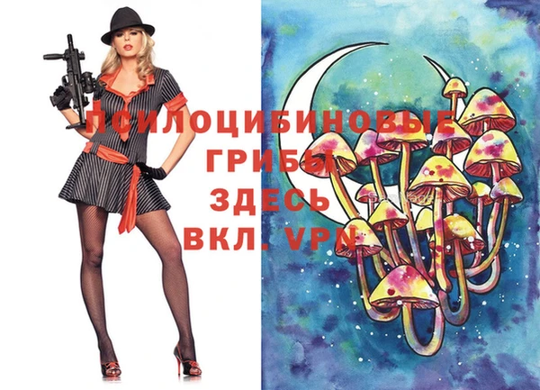 прущая мука Бородино